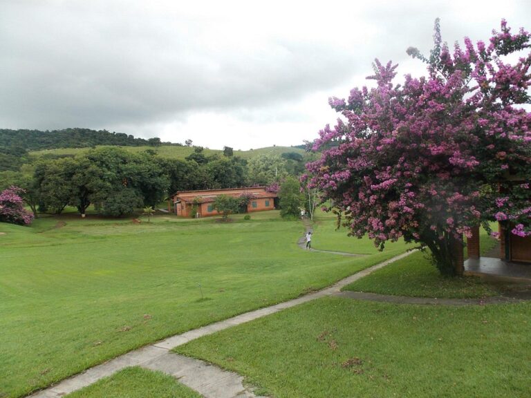 hotel-fazenda-reviver (1)